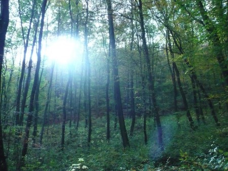 Dobogókő, Szellemlény