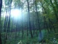/album/fenykepgaleria/dobogoko-jpg-jpg/